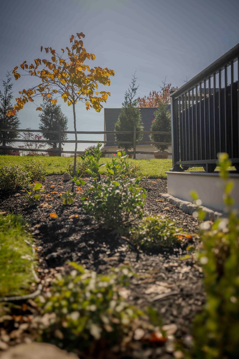 Front-yard view of the Chadds Ford home in autumn, the two-story tan-siding home framed by trees in vivid yellow and red fall color with a smooth lawn in the foreground
