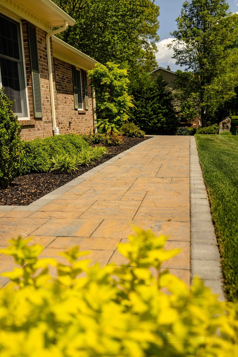 Looking along the side of the Garnet Valley home with the paver walkway leading away from the camera, a yellow-foliage shrub vivid in the soft-focus foreground