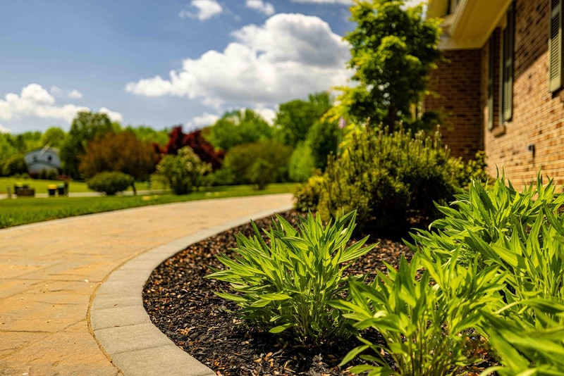 Close-up of the curved paver walkway edge in Garnet Valley, with charcoal border bricks separating the tan stones from a mulched bed of green daylilies