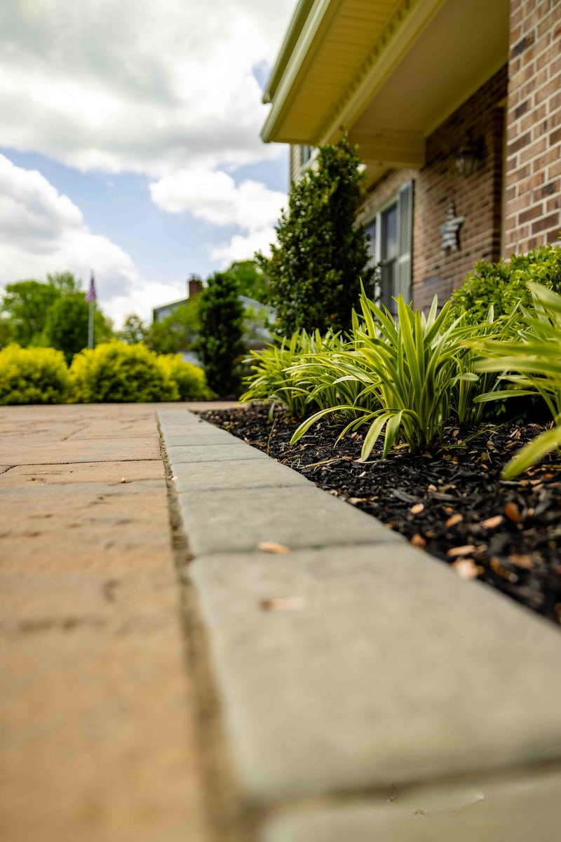 Low-angle view of the paver walkway edge along the Garnet Valley home, with a clump of fresh daylilies in mid-frame and a yellow-foliage shrub softly out of focus to the right