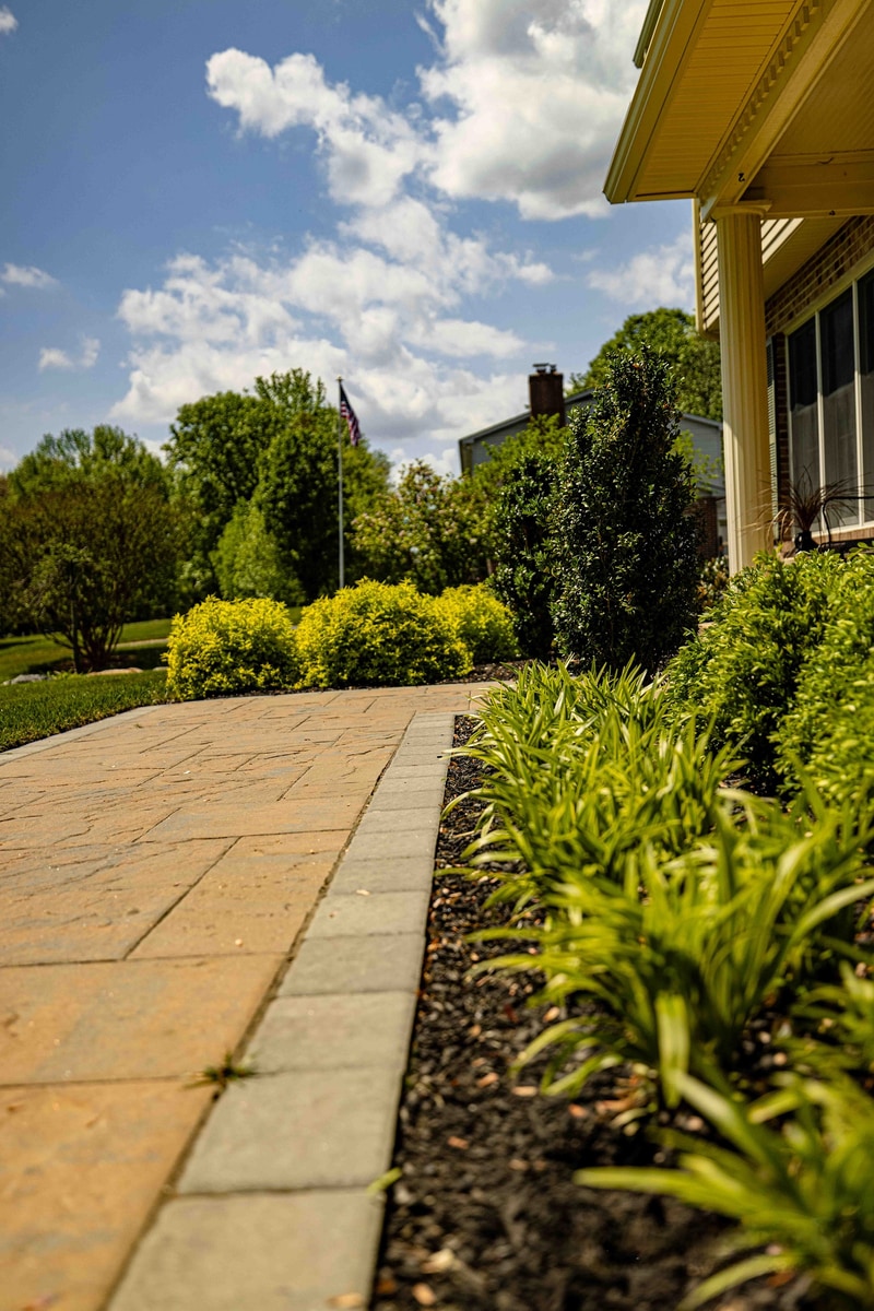 Paver walkway leading toward the front entry of the Garnet Valley home, with mounded yellow-foliage shrubs flanking the path and an American flag visible in the middle distance
