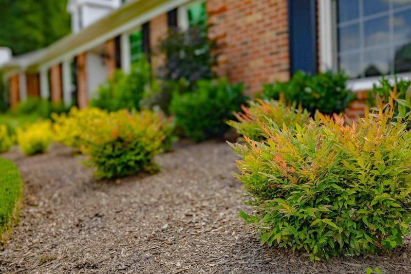 Close-up of planted bed along Greenville Delaware home