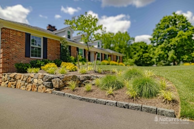 Natural stone retaining wall with ornamental grasses, Greenville DE
