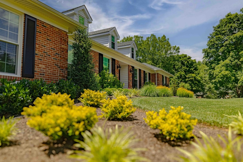 Side landscape bed with yellow shrubs, Greenville Delaware