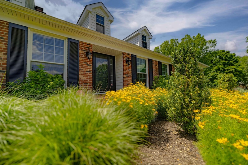 Coreopsis and tall grasses with house dormers behind, Greenville DE