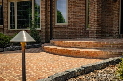 Side-yard view of the Hockessin flagstone path leading toward the woodland edge: irregular flagstones set into a mulched bed are bordered by a low brick edge, with mature trees forming a green backdrop and a clear blue sky overhead