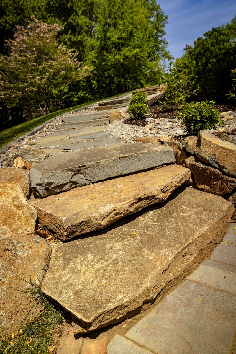 Dramatic portrait of the Hockessin stone slab steps: massive irregular bluestone slabs ascend in a curving sequence between rough boulders, with a mulched bed and a single mounded boxwood at the upper landing and dogwoods in bloom in the background