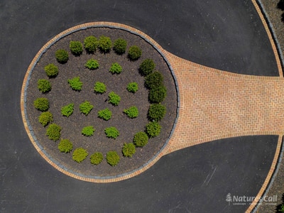 Top-down drone view of the boxwood-planted oval centerpiece at the heart of the Hockessin paver driveway: a perfect oval bed of mulch ringed by a brick paver border holds rows of round mounded boxwoods in a graphic geometric pattern