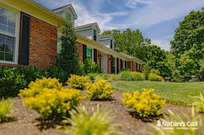 Brick home with ivy-covered entrance, flowering shrubs, ornamental grasses, and mulch beds in Greenville, DE.