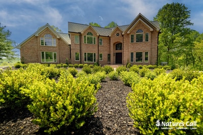 Stately brick home in Hockessin, DE set back from gravel driveway lined with golden ornamental shrubs and evergreen foundation plantings.