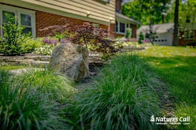 Ornamental grasses and shade plants frame a boulder accent in a front foundation bed adjoining brick and siding residential home.