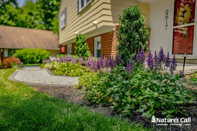 Entryway features purple flowering perennials, boxwood topiary, and ornamental grasses flanking a paver walkway to the front door.