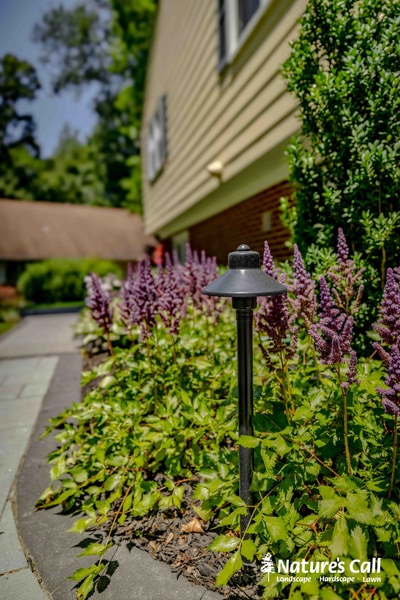 Purple flowering salvia and ornamental grasses frame a home's entrance, with landscape lighting illuminating the lush perennial beds.