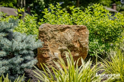 A textured stone feature anchors a garden with silvery blue spruce, yellow-green shrubs, and ornamental grass plantings.