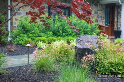 Modern landscape bed with black mulch, ornamental grasses, pink flowering shrubs, and weathered stone accents near a stone home.