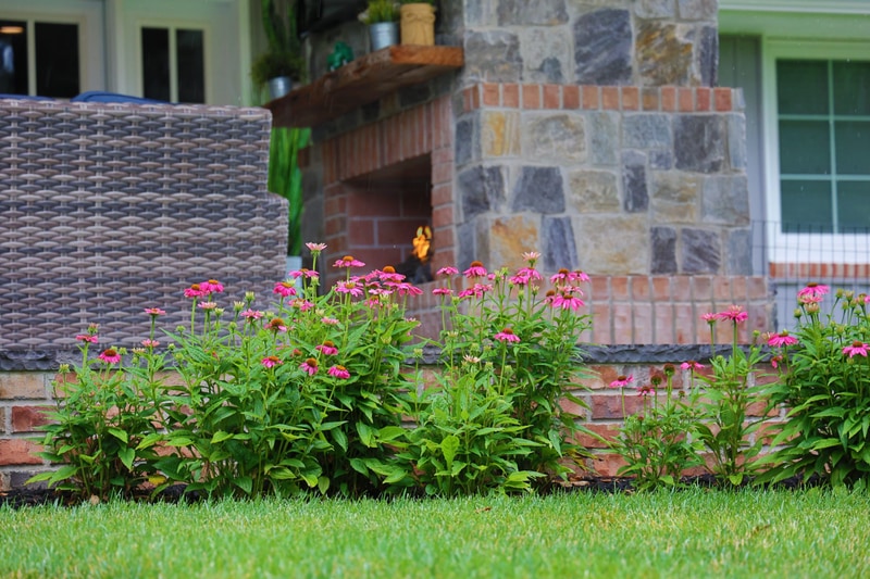 Pink coneflower hedge running along the brick-and-stone foundation of the North Wilmington pavilion, with the wicker sectional just visible at left and the stone fireplace base at center