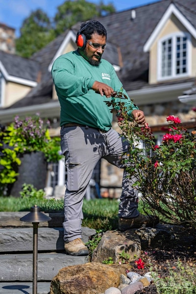 A Nature's Call landscaper in a branded shirt pruning a red rose bush in a planting bed in front of a stone home, a low-voltage path light in the foreground. Nature's Call Landscaping plant care.
