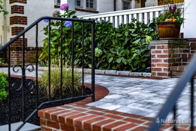 Magazine-style ground-level composition at the Wilmington paver landing: scrollwork wrought iron railing on the left, an ornamental grass clump at center, the hydrangea hedge stretching back, and a brick column topped with a seasonal-flower urn at the right
