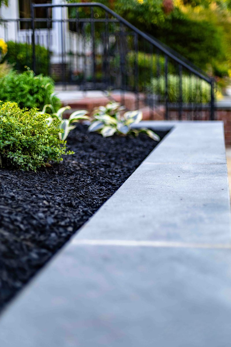 Portrait close-up of the Wilmington raised brick planter wall: the bluestone cap runs along the right edge, mounded boxwood and a variegated hosta sit in black mulch on the left, with the scrollwork wrought iron railing and brick risers softly out of focus behind