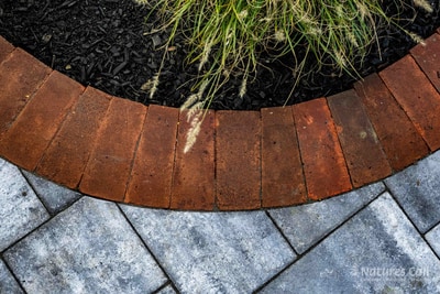 Close-up of the curved red brick edge meeting the blue-gray paver walkway in Wilmington, with an ornamental grass clump catching the light in the planter bed above the brick